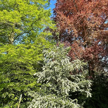 World House Wetten * Kevelaer