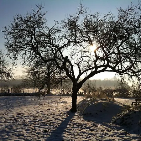 Ξενοδοχείο World House Wetten *