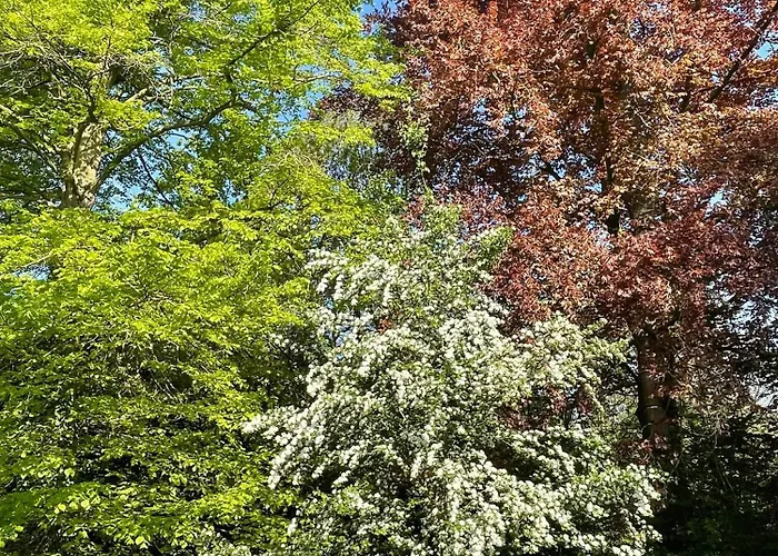 World House Wetten * Kevelaer