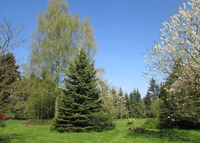 World House Wetten Otel